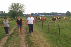 Bolest kvrgave kože zadnji udarac za stočare?