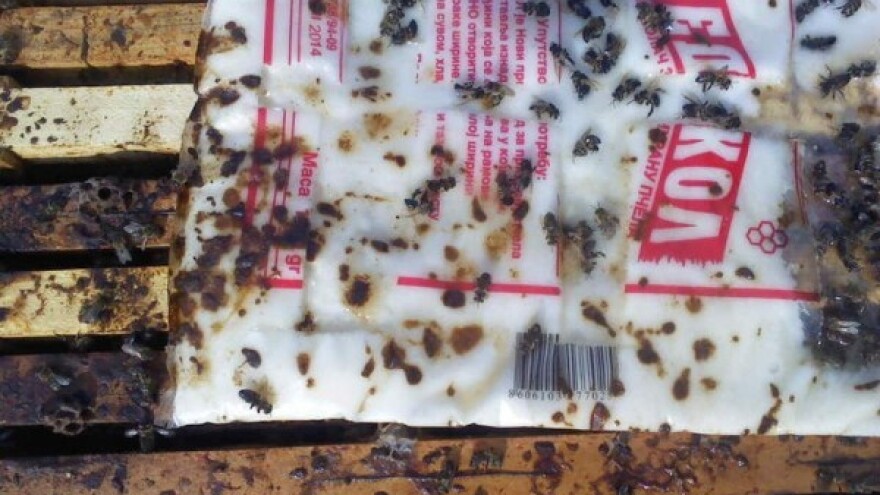 Nozemoza - neprijatelj pčelinjaka!