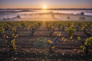 Bolfanova vinska eko filozofija!