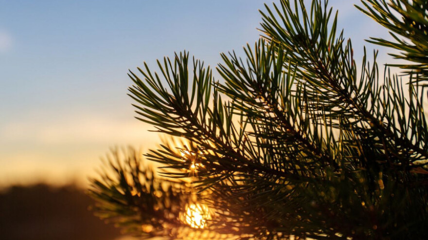 I ove godine nećemo imati bijeli Božić?