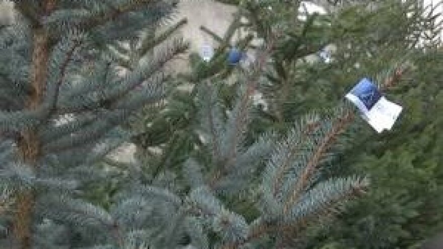 Zelena šuma na Zeleni četvrtak