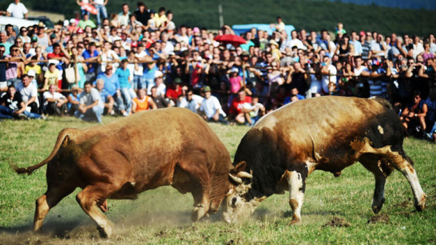 Bogat program manifestacije 52. Kočićev zbor