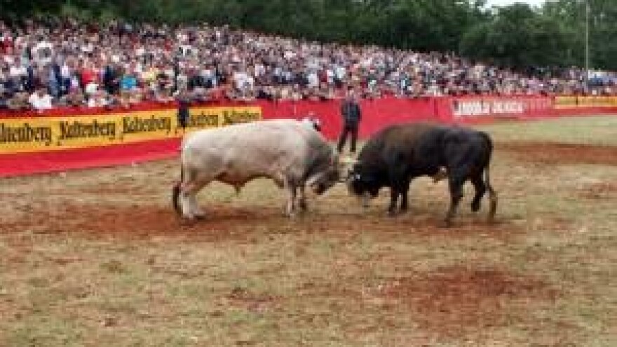 Seoska olimpijada i Bikijada - značajna dopuna seoskog turizma
