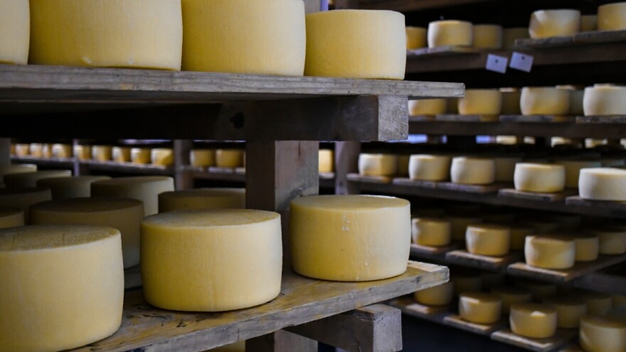 Borba protiv falsifikata zaštićene hrane: Najavljena radionica o službenim kontrolama