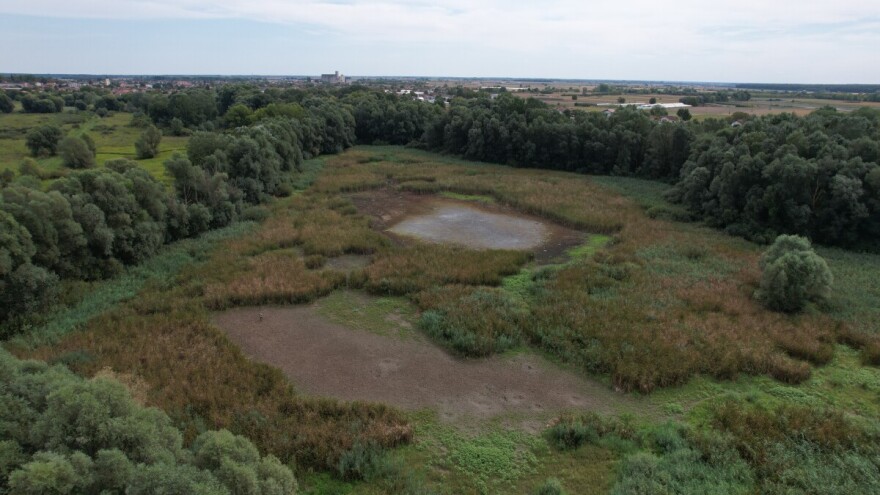 Borba za opstanak: Kreće obnova ornitološkog rezervata Podpanj, vrijedna više od 1,8 milijuna eura