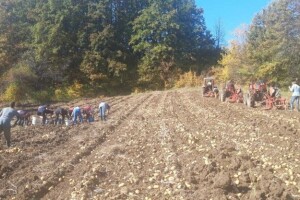 Klastere treba organizovati tamo gdje se najprije mogu ostvariti rezultati