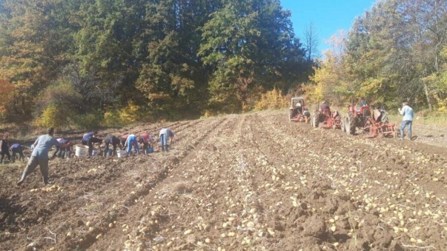 Klastere treba organizovati tamo gdje se najprije mogu ostvariti rezultati