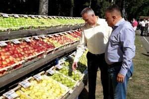 Ministarstvo poljoprivrede RS obezbijedilo 4 miliona KM za otkup voća