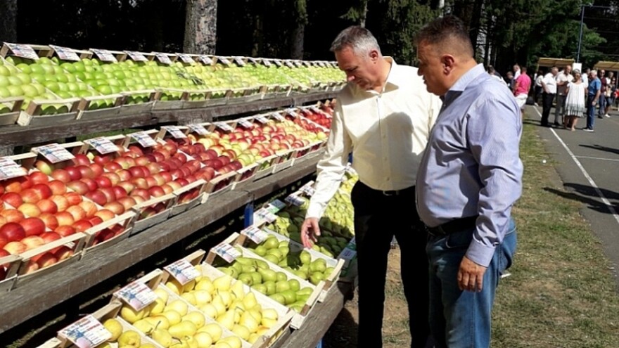 Ministarstvo poljoprivrede RS obezbijedilo 4 miliona KM za otkup voća