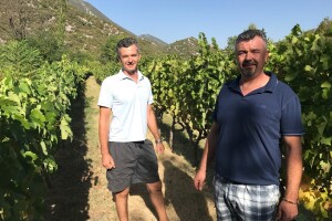 Braća Gašpar: Zlatarica je otkriće, plavka iznenađenje. Da se prezivamo Tomić ili Plenković gdje bi nam bio kraj!?