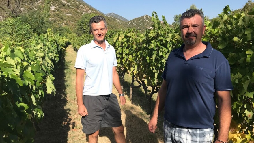 Braća Gašpar: Zlatarica je otkriće, plavka iznenađenje. Da se prezivamo Tomić ili Plenković gdje bi nam bio kraj!?