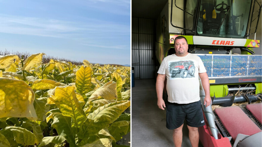 Boris Đukić: Posla oko navodnjavanja ima, ali računica je slatka