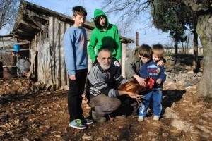 Kokoš hrvatica vraća se na seoska gospodarstva