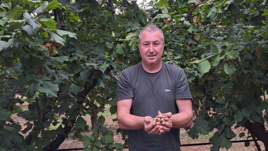 OPG Virovitički lješnjak: Kako je obitelj Borković od hobija izgradila vlastiti pogon za preradu