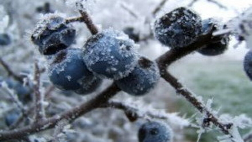 Klimatske promjene i poljoprivreda - agrometeorološka radionica