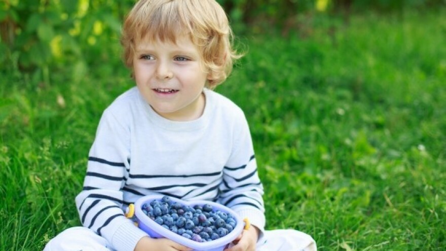 Volim borovnice iz Koprivnice!