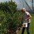 Gledali reportažu pa zasadili borovnice: Stara majka glavni radnik
