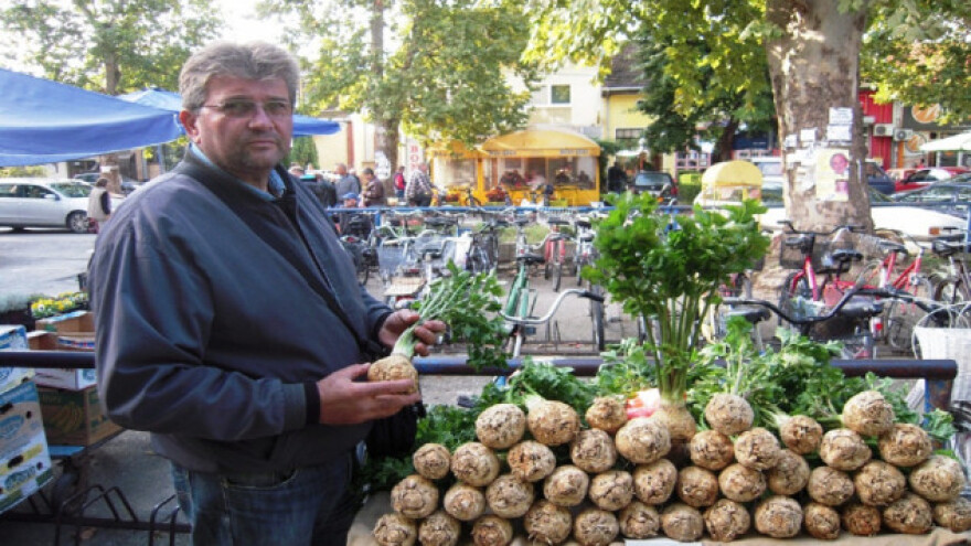 Uzgoj celera postao tradicija