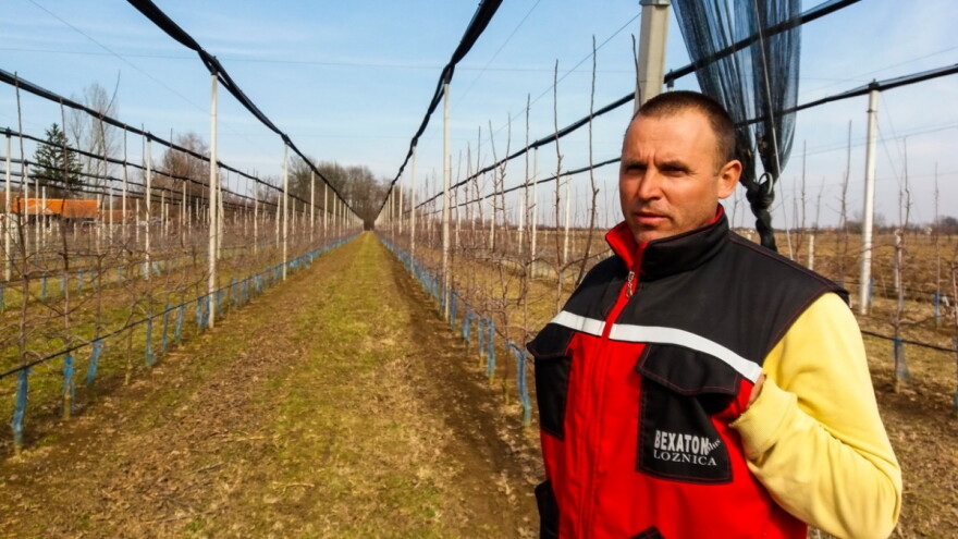 Boško Filipović: Proizvodnja jabuka može biti unosan posao