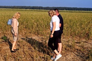 Na 4.500 ha šteta je 100 %, polovica usjeva osigurana, ali poljoprivrednici ne mogu do odšteta?