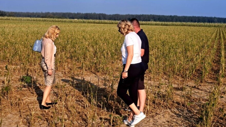 Na 4.500 ha šteta je 100 %, polovica usjeva osigurana, ali poljoprivrednici ne mogu do odšteta?