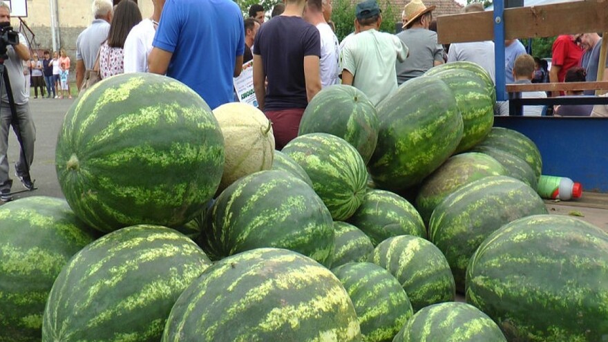 Dobrinci: Lubenici u čast priređena "Bostanijada"