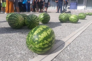 Šta je zajedničko lubenicama i Mihajlu Pupinu?