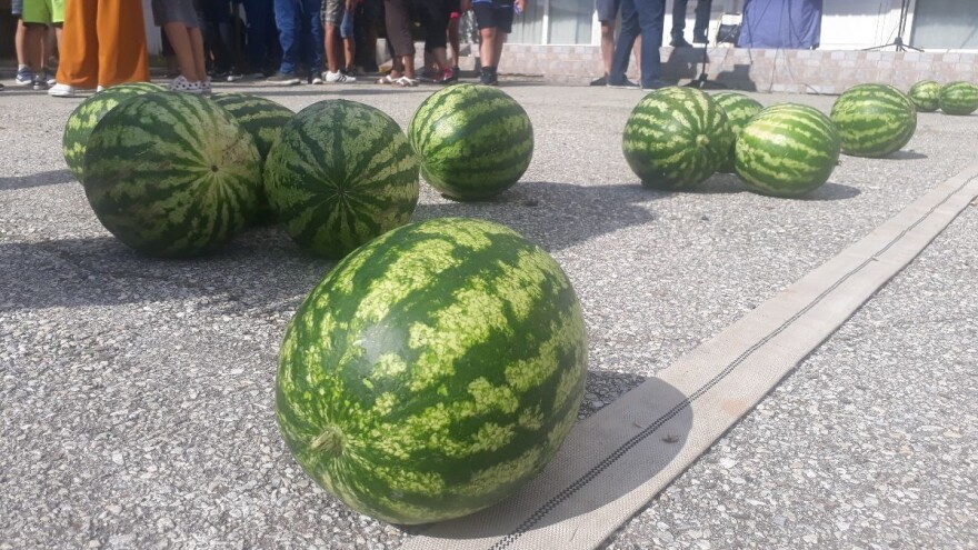 Šta je zajedničko lubenicama i Mihajlu Pupinu?