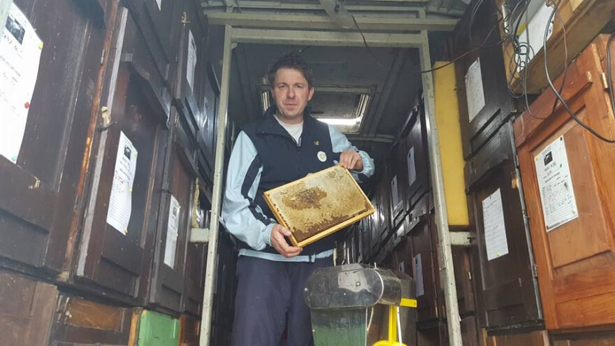 Pčele daju sve - pa i parfem od meda!