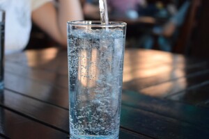 Prijedlog pravilnika o prirodnim mineralnim, prirodnim izvorskim i stolnim vodama