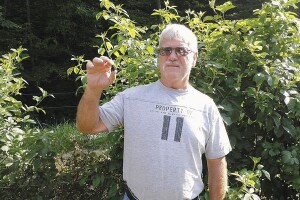 Voćne vrste skromnih zahtjeva i visokih cijena!