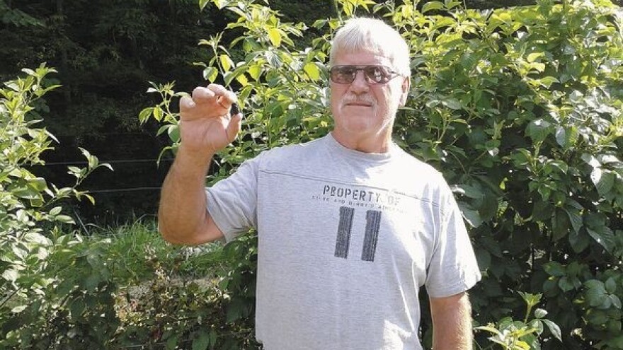 Voćne vrste skromnih zahteva i visokih cena!