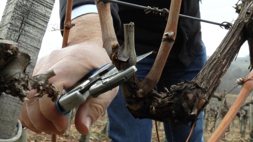 Zarada dobra, ali niko neće da "stegne" makaze