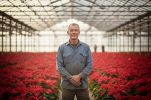 Božićna zvijezda iz Popovače