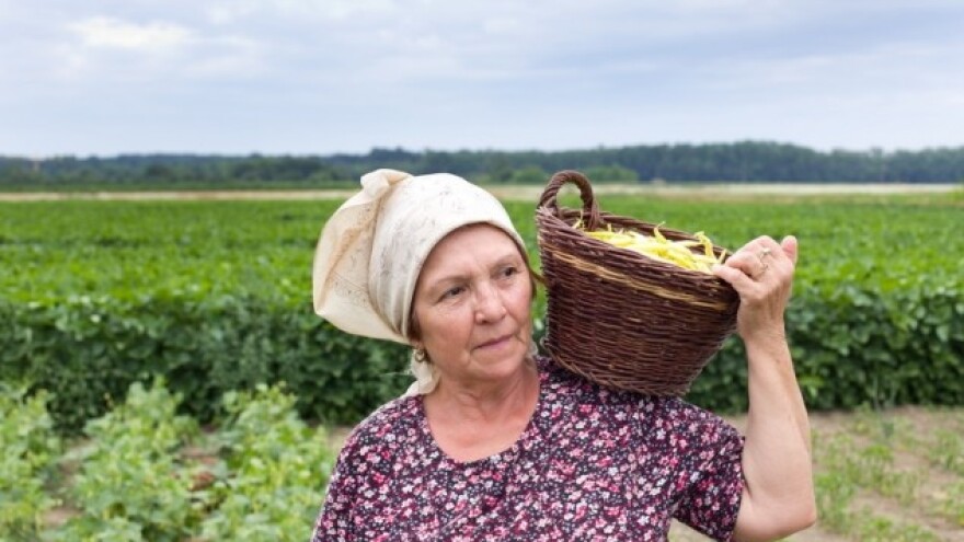 I poljoprivredni umirovljenici čekaju božićnicu