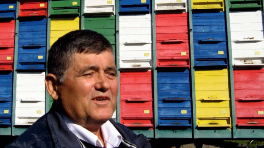 Nemačka deca jedu pravi, a naša veštački med