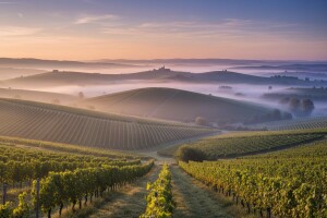 Božjakovina povećava kapital Kutjeva