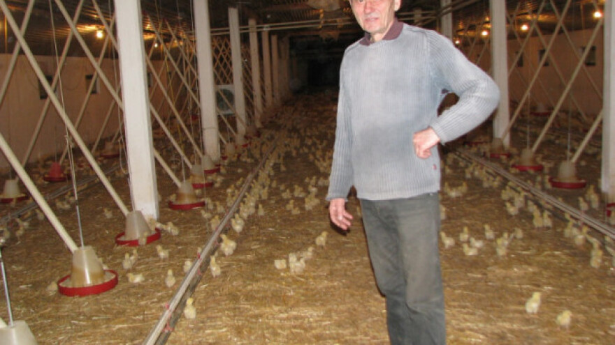 Dosad utovili 2 miliona brojlera - i idu dalje!