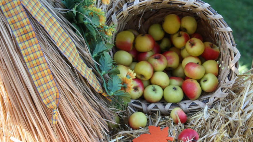 Poljoprivrednom strategijom do radnih mjesta