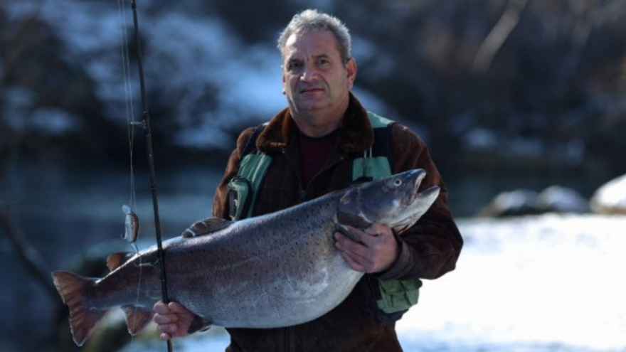 Nekrunisani kralj Vrbasa: Ribar upecao mladicu tešku 23 kilograma