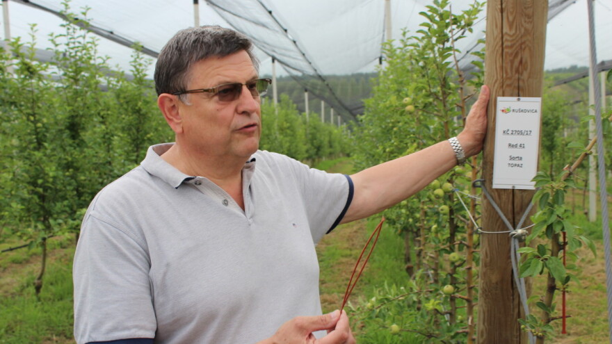 Branimir Markota novi je predsjednik Hrvatske voćarske zajednice