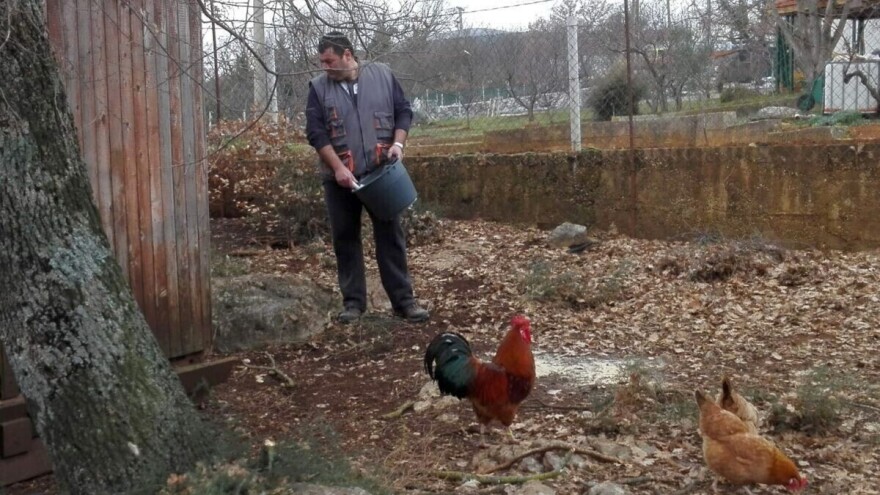 Branimir Strizrep jedan je od pionira slobodnog uzgoja kokoši hrvatica, sad je otvorio i jajomat