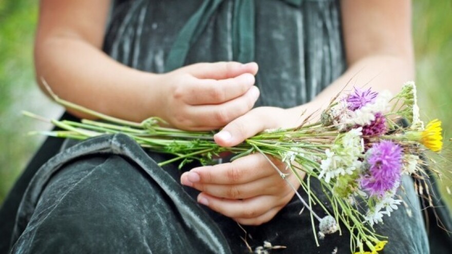 Zakonska ograničenja branja samoniklog bilja