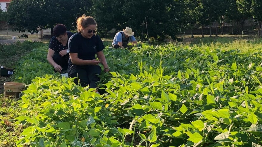 OPG Ojdanić: U ovim stresnim vremenima, poljoprivreda je najbolji 'psihijatar'