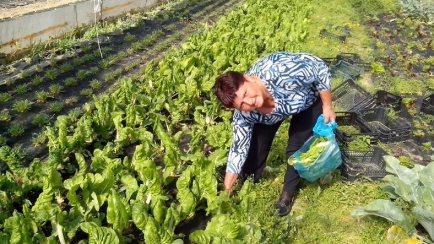 Stručni skup Funkcionalna hrana