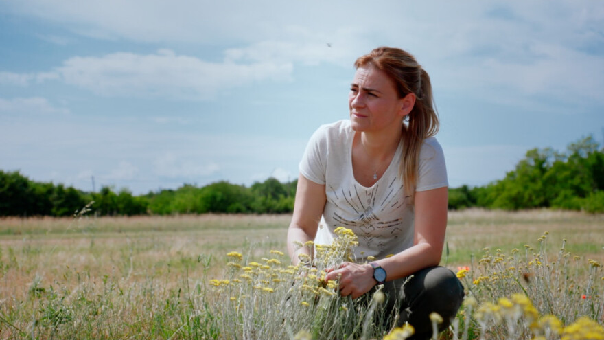Dulum zemlje o obitelji koja se iz Rima vratila u Dalmaciju - uzgajaju smilje i magarce