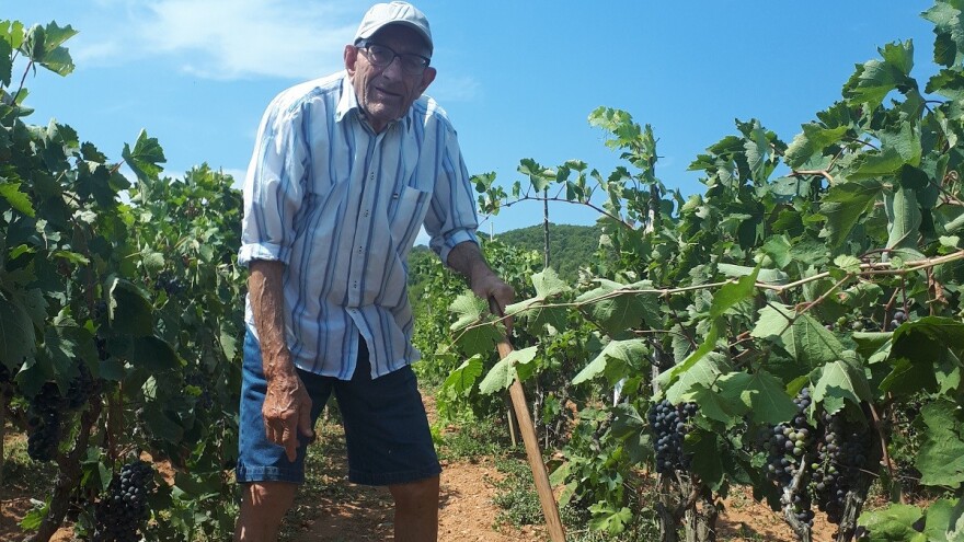 Dok 87-godišnji svekar Branko kopa, nevjesta Ljiljana osvaja nove oznake  HOP-a