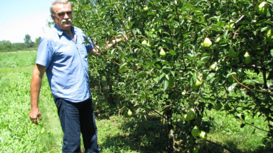 Iz politike u rekordnu proizvodnju voća