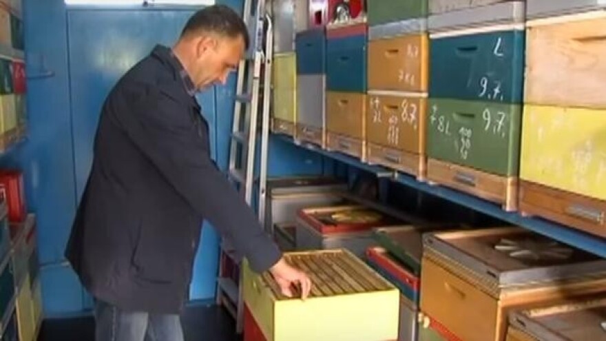 Dobra proizvodna godina za pčelare