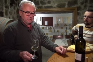Branko Mihalj: Kako pravilno konzumirati vino?